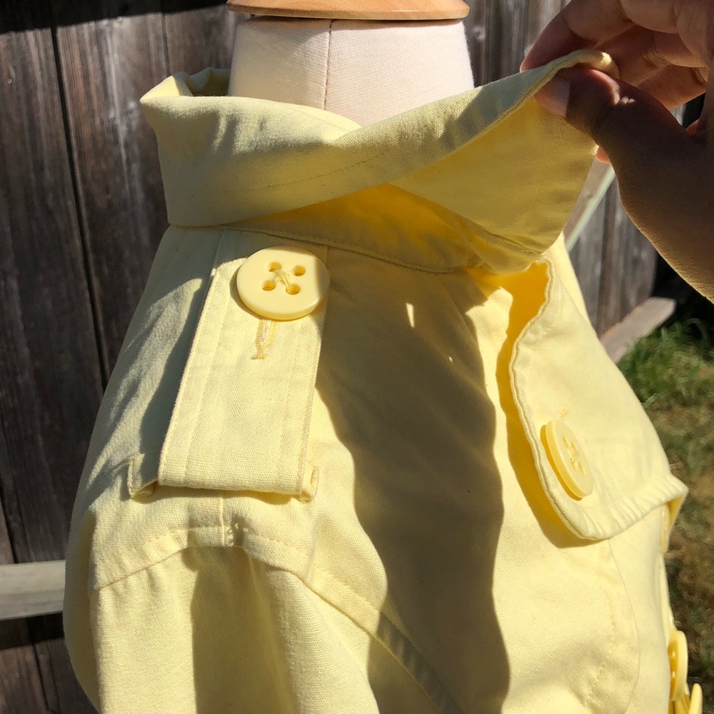 Yellow jacket - Picture 4 of 6